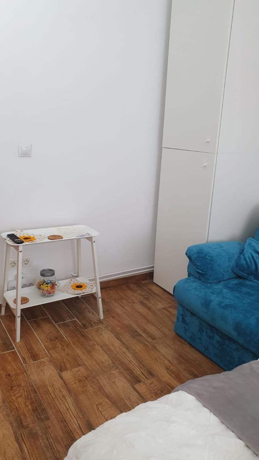 Apartment Garsoniera Ioana
